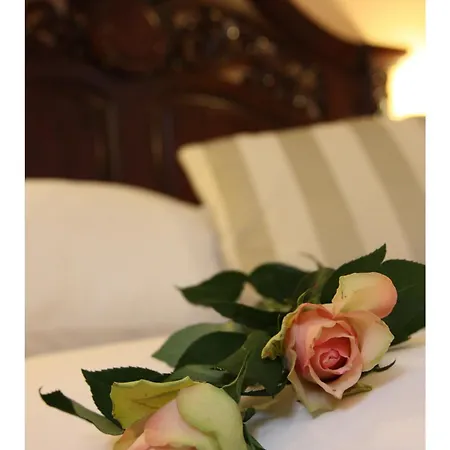 Hotel Golden Age 3*